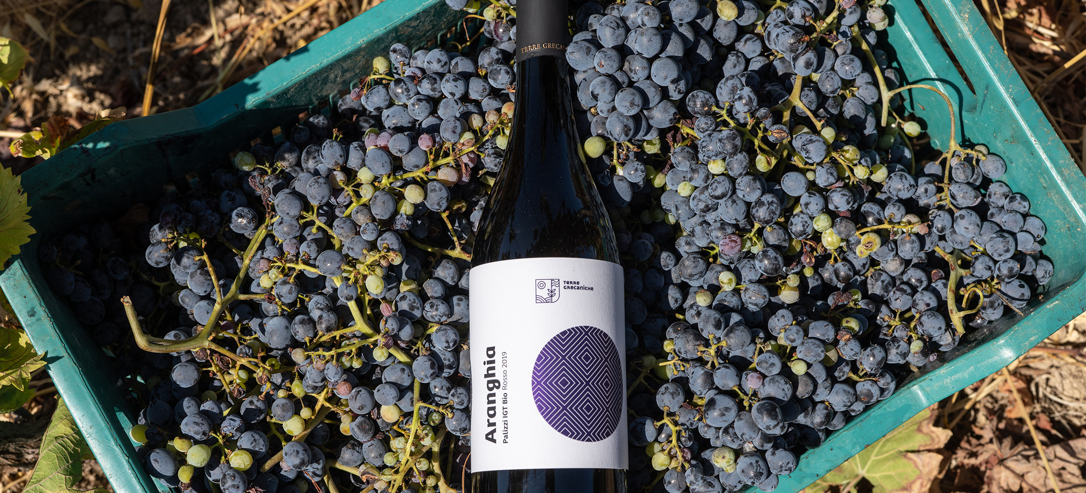 Terre Grecaniche - Vino Rosso Aranghìa - IGT Palizzi - Biologico