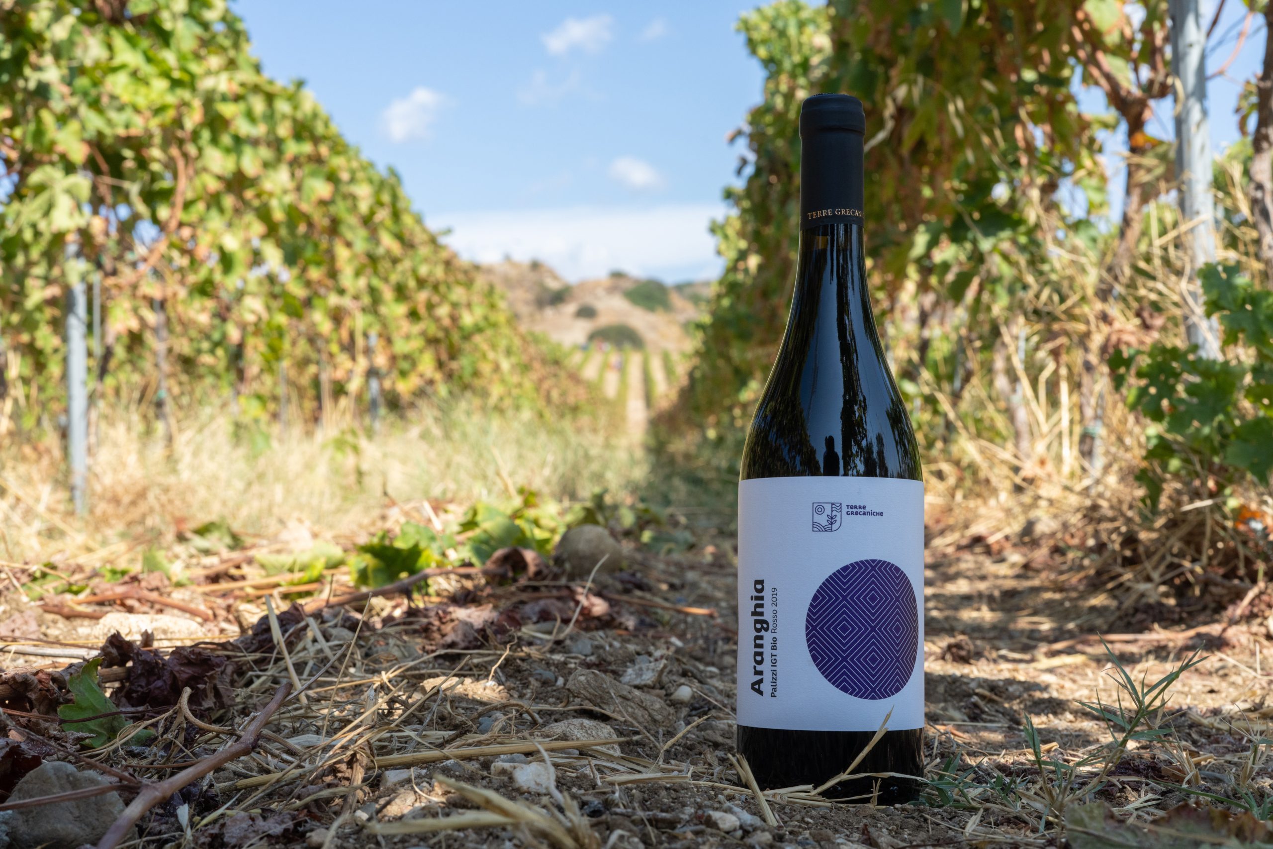 Terre Grecaniche - Vino Rosso Aranghìa - IGT Palizzi - Biologico
