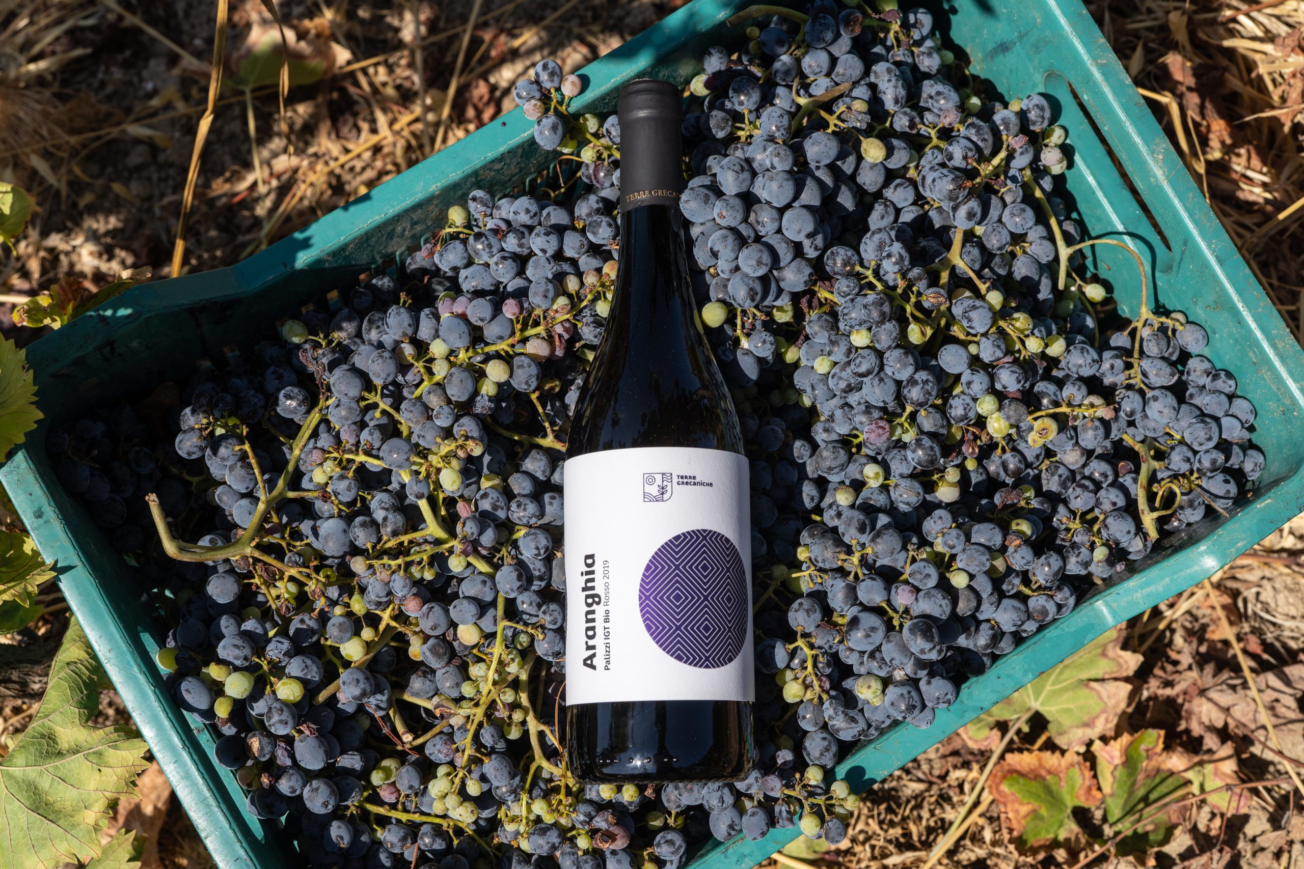 Terre Grecaniche - Vino Rosso Aranghìa - IGT Palizzi - Biologico
