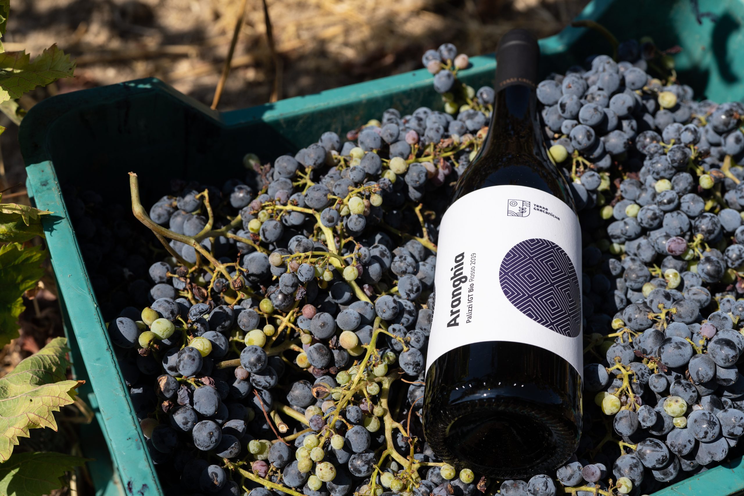 Terre Grecaniche - Vino Rosso Aranghìa - IGT Palizzi - Biologico