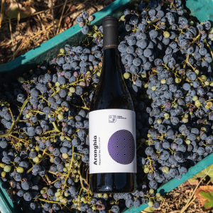 Terre Grecaniche - Vino Rosso Aranghìa - IGT Palizzi - Biologico