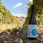 Terre Grecaniche - Vino Bianco Calanchi - IGT Calabria - Biologico