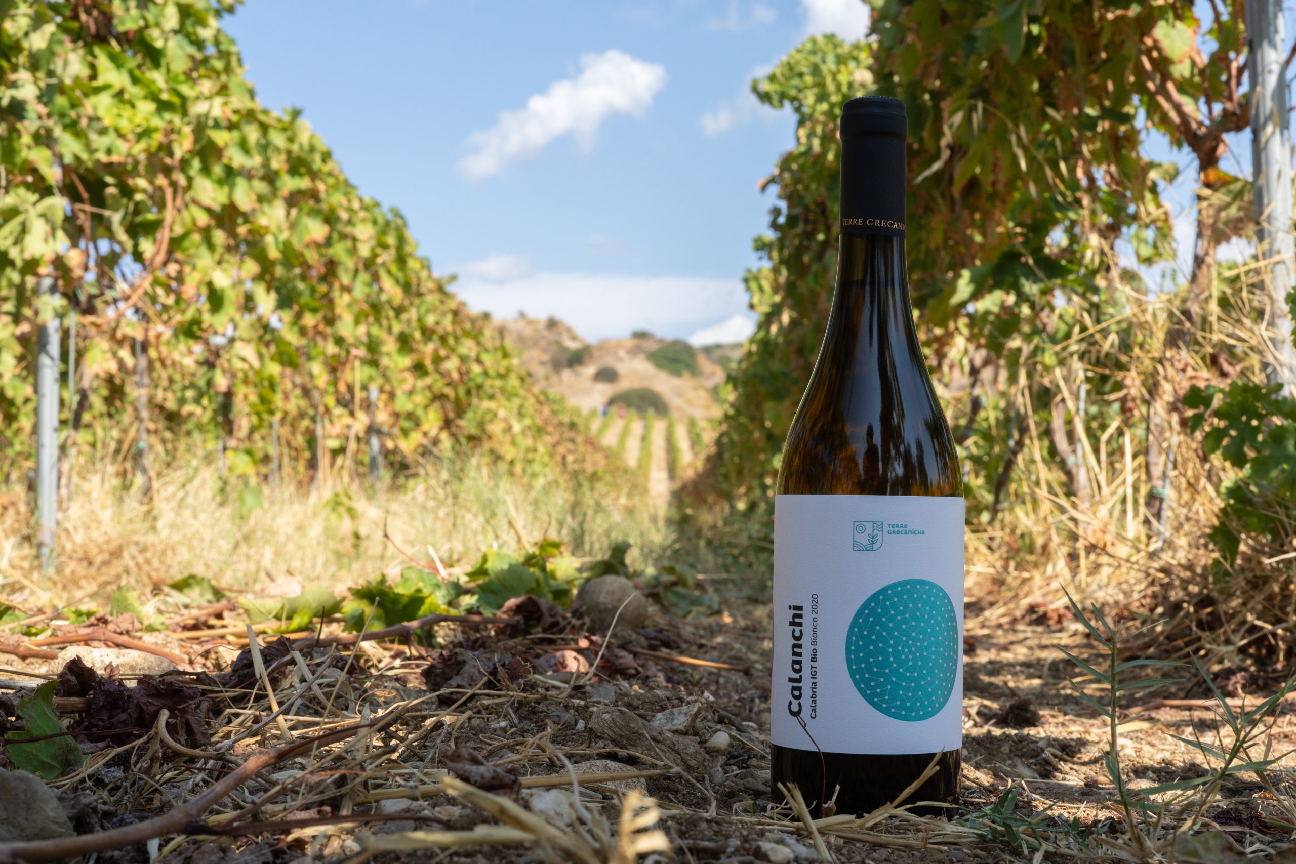 Terre Grecaniche - Vino Bianco Calanchi - IGT Calabria - Biologico