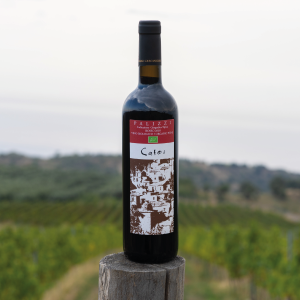 Terre Grecaniche - Vino Rosso Catoi - IGT Palizzi - Biologico
