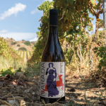 Terre Grecaniche - Vino Rosso Narada - IGT Palizzi - Biologico