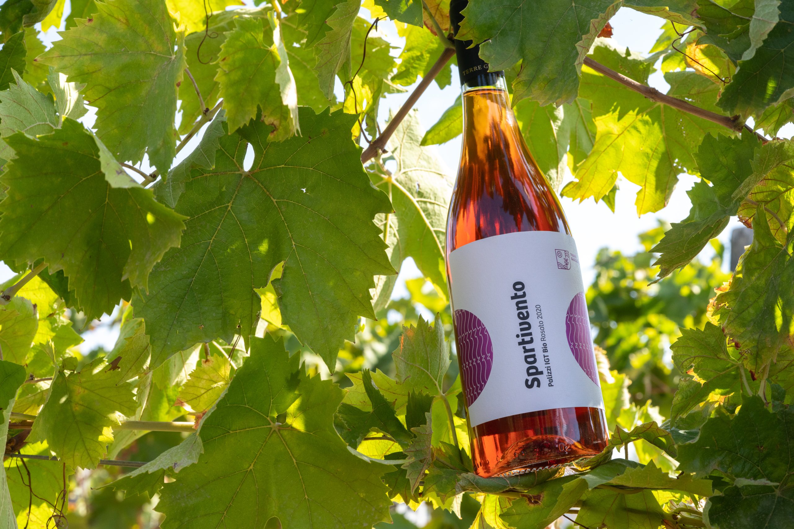 Terre Grecaniche - Vino Rosato Spartivento - IGT Palizzi - Biologico