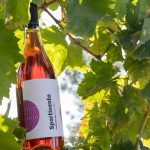 Terre Grecaniche - Vino Rosato Spartivento - IGT Palizzi - Biologico