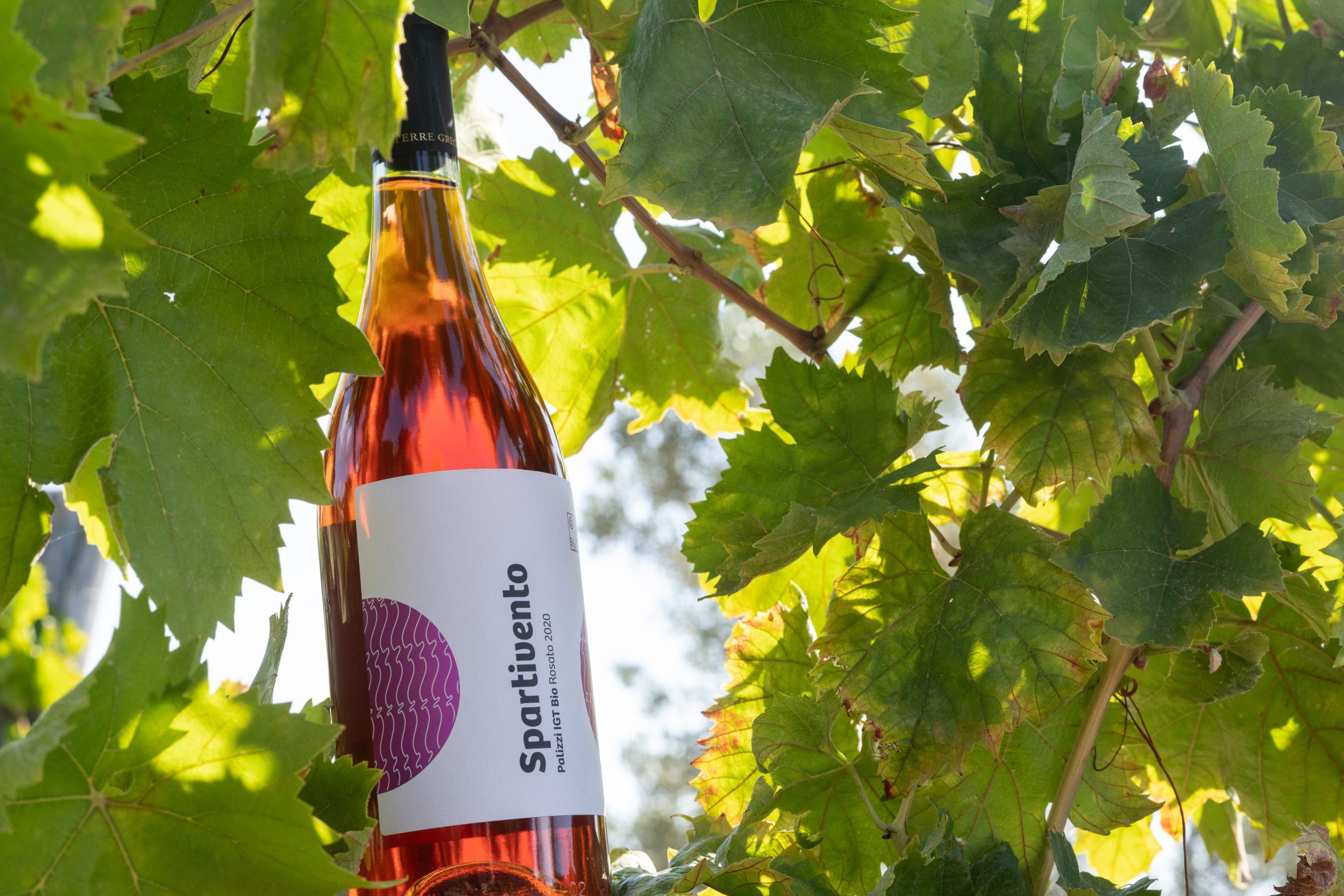 Terre Grecaniche - Vino Rosato Spartivento - IGT Palizzi - Biologico