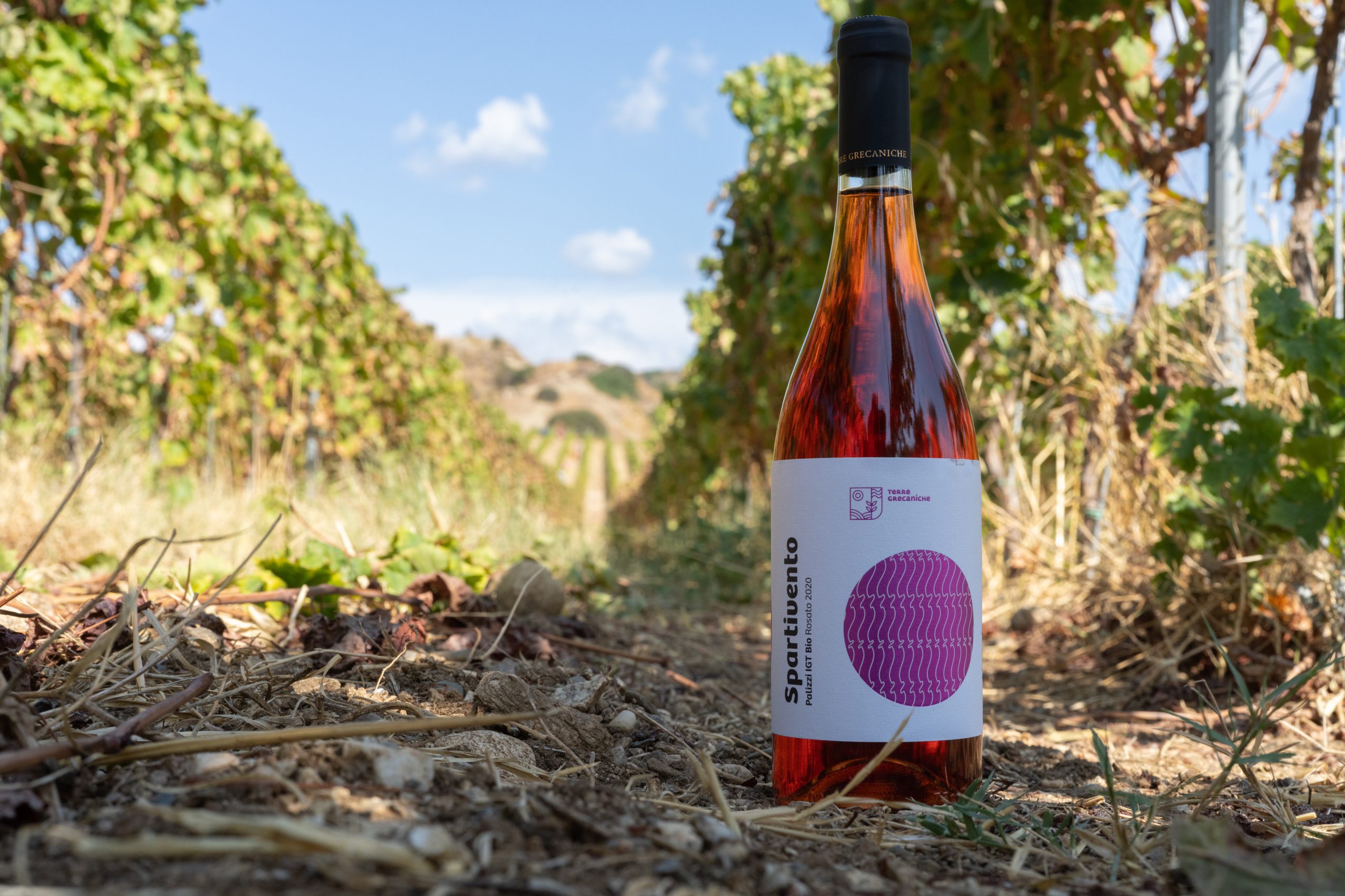 Terre Grecaniche - Vino Rosato Spartivento - IGT Palizzi - Biologico