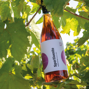 Terre Grecaniche - Vino Rosato Spartivento - IGT Palizzi - Biologico