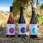 Terre Grecaniche - Vino Rosso Catoi - IGT Palizzi - Biologico