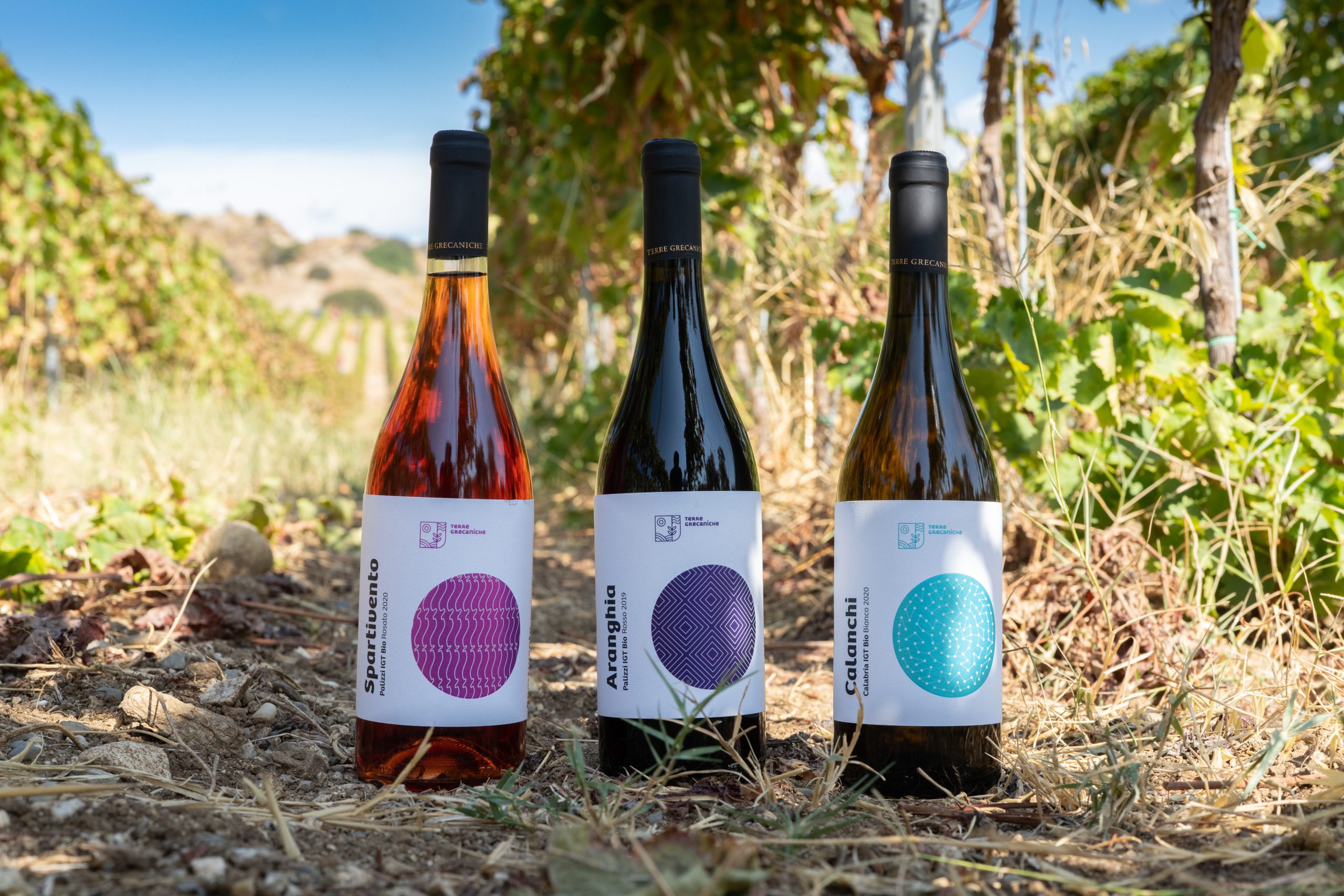 Terre Grecaniche - Vino Rosso Catoi - IGT Palizzi - Biologico